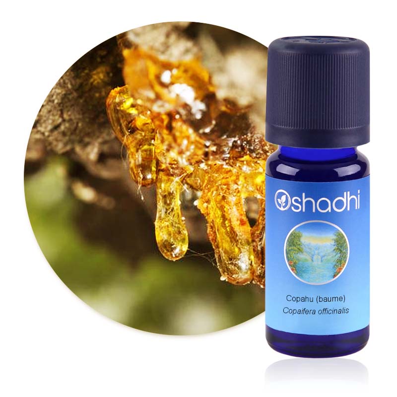 Copahu (baume) [1280]