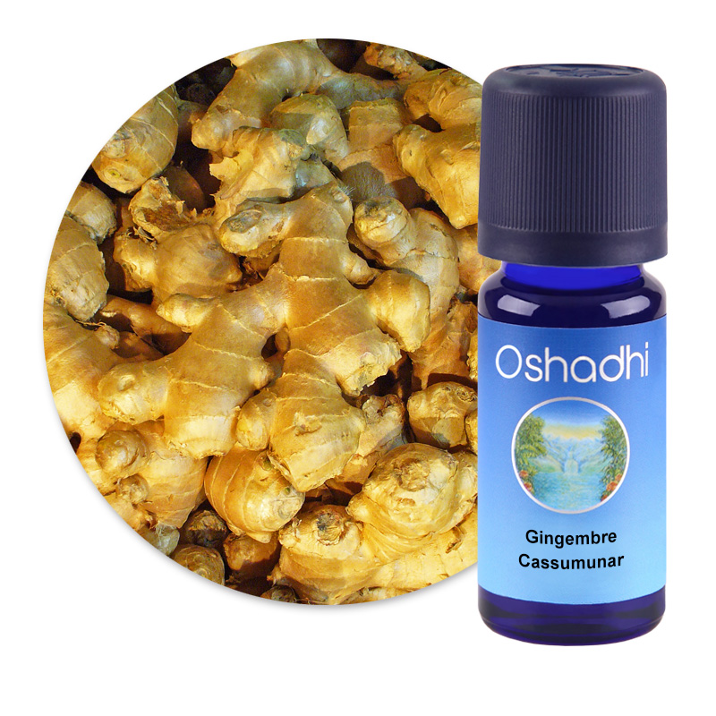 Gingembre Cassumunar [1616]