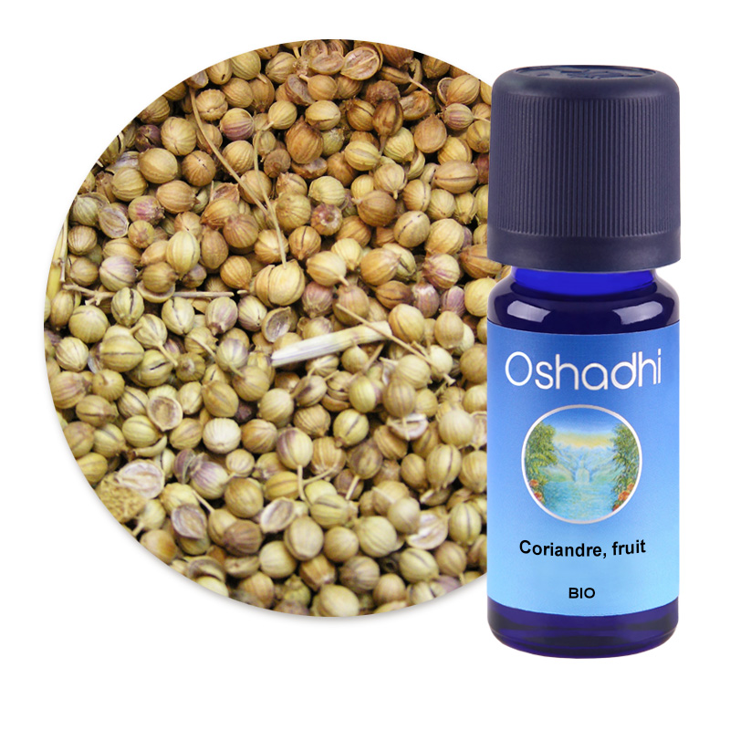 Coriandre, fruit [1800]