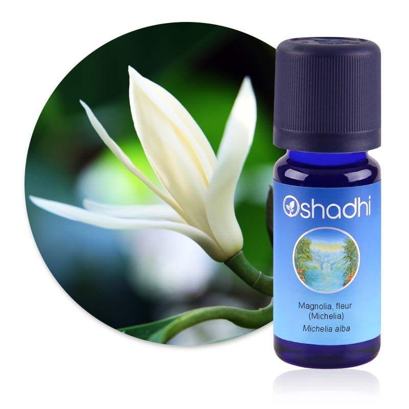 Magnolia, fleur (Michelia) [2000]