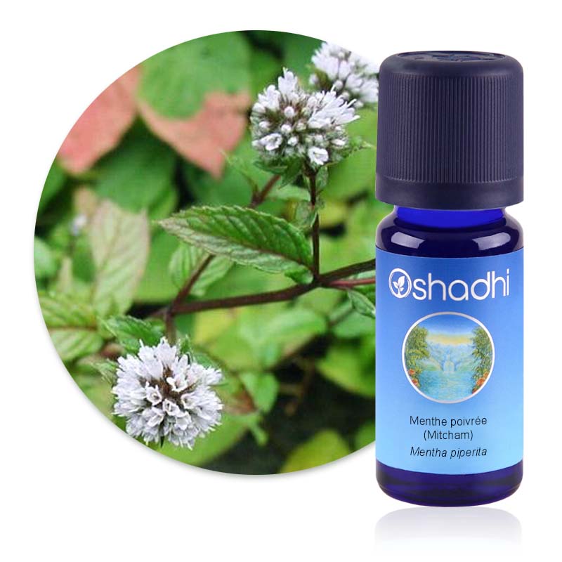 Menthe poivrée (Mitcham) [2085]