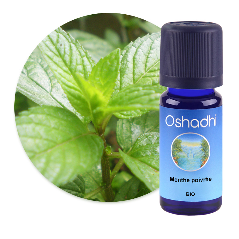 Menthe poivrée BIO [2090]