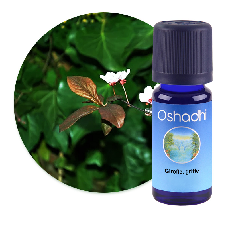 Girofle, griffe [2220]
