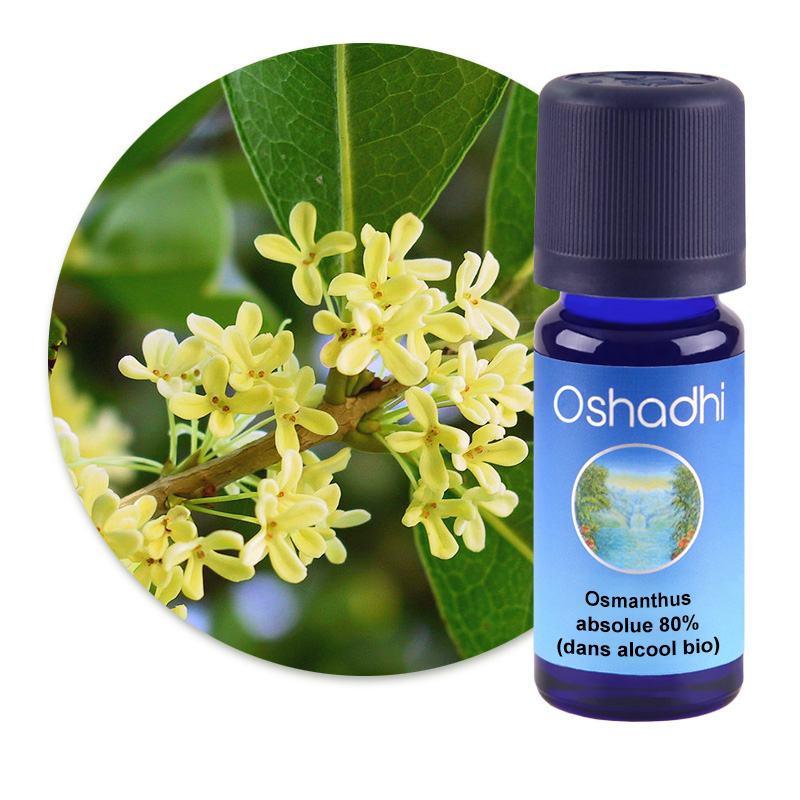 Osmanthus, absolue 80% (dans alcool bio) [2360]