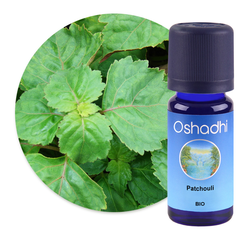 Patchouli [2401]