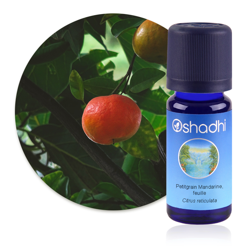 Petitgrain Mandarine [2479]