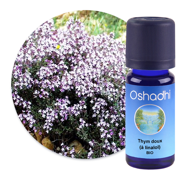 Thym doux (à linalol) [2850]