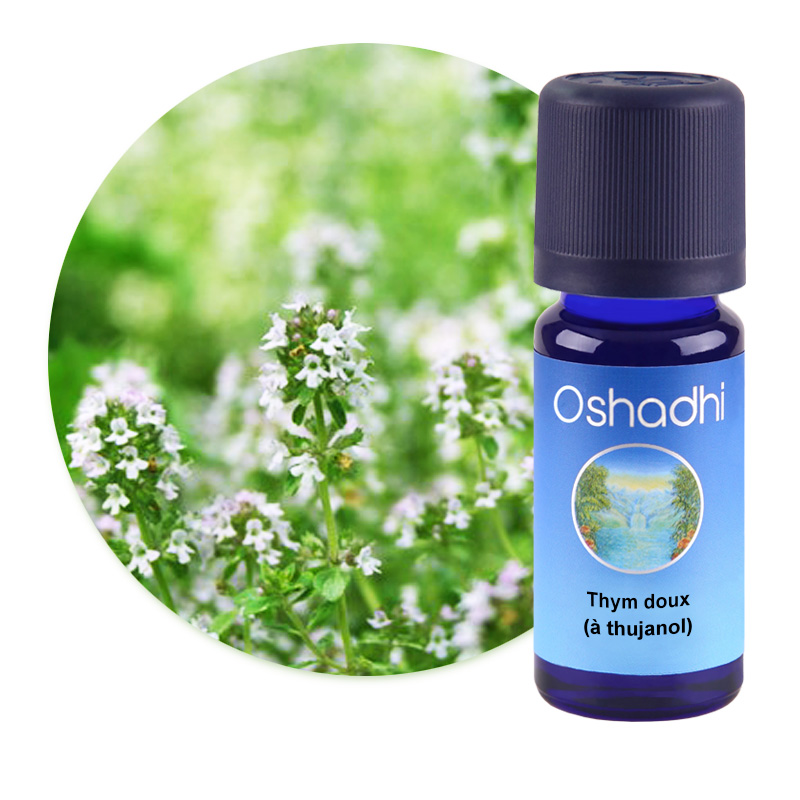 Thym doux (à thujanol) [2881]