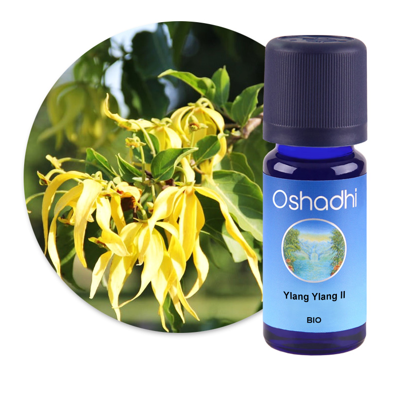 Ylang Ylang II [3027]
