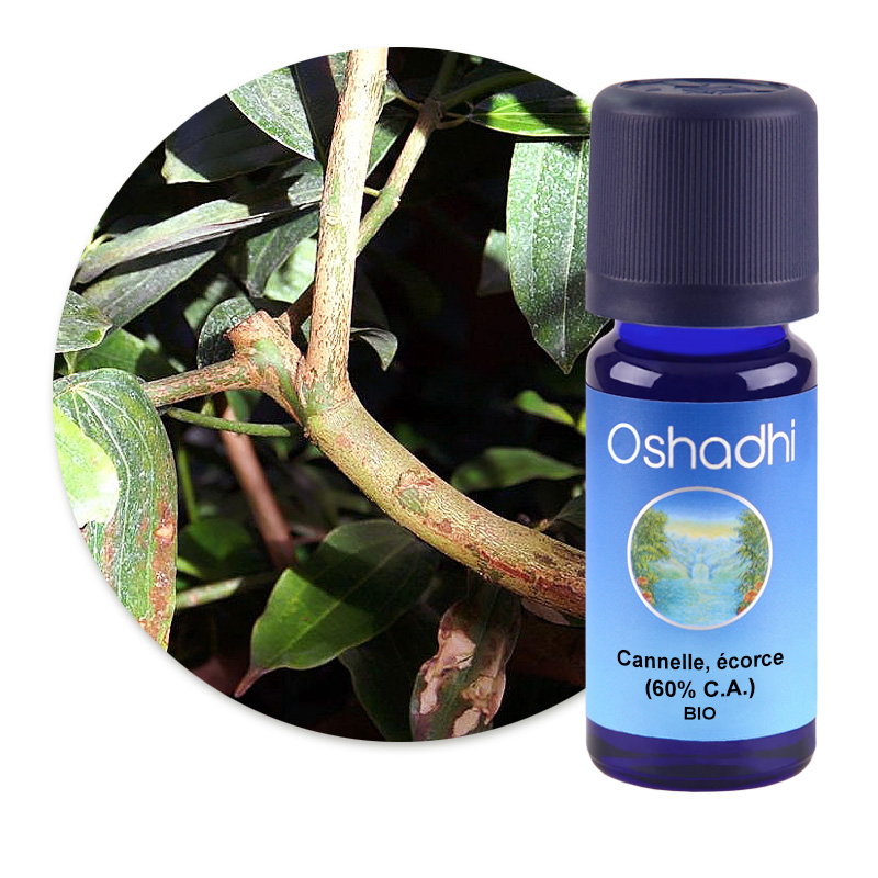 Cannelle, écorce (60% C.A.) [3115]