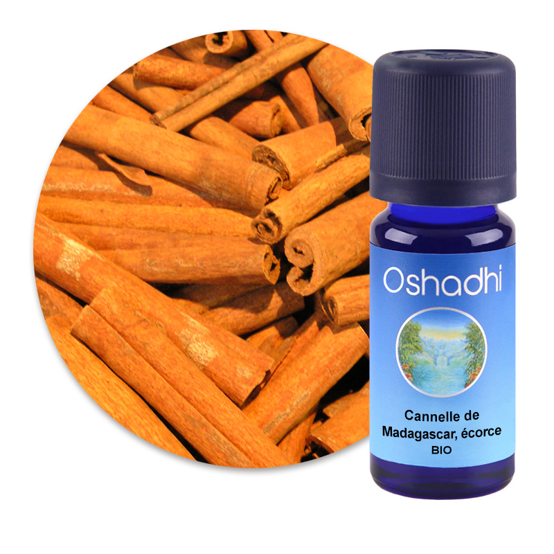 Cannelle de Madagascar, écorce [3120]