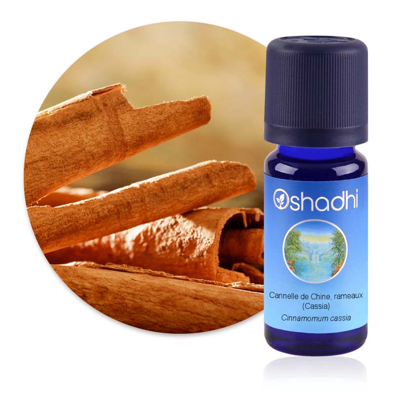 Cannelle de Chine, rameaux (Cassia) [3140]
