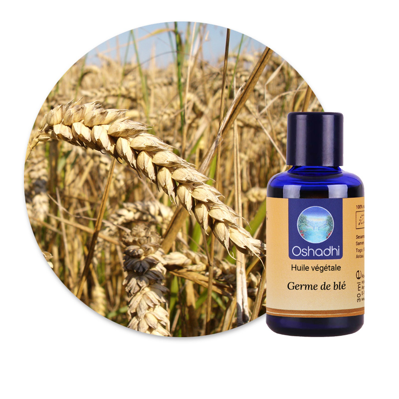 Germe de blé [6610]