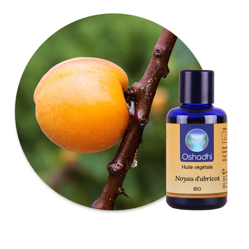 Noyau d'abricot [6641]
