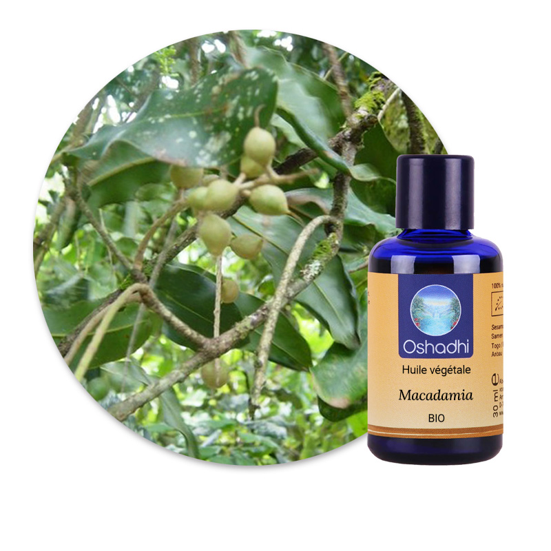 Macadamia BIO [6677]