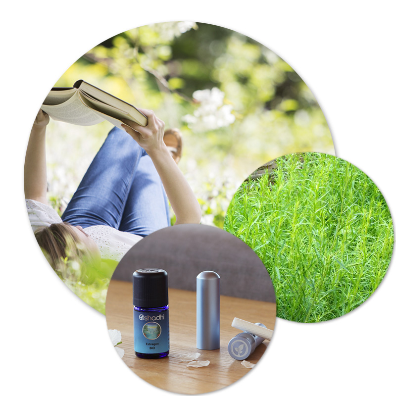 Eveil printanier [9051]