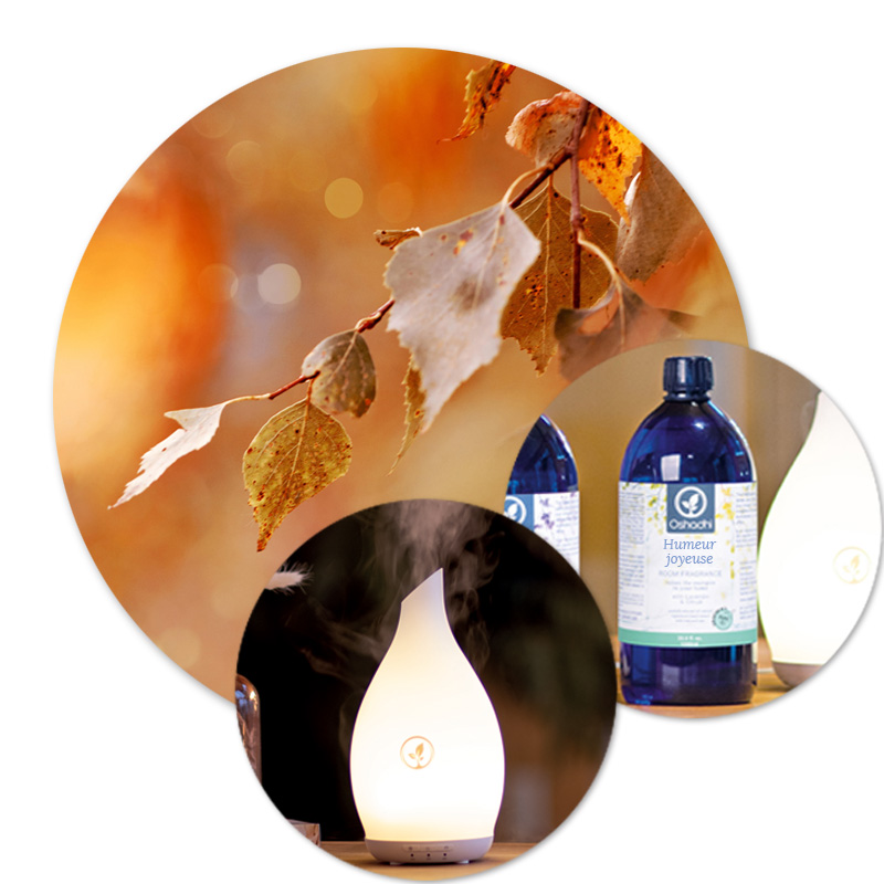 Douceur d'automne [9059]