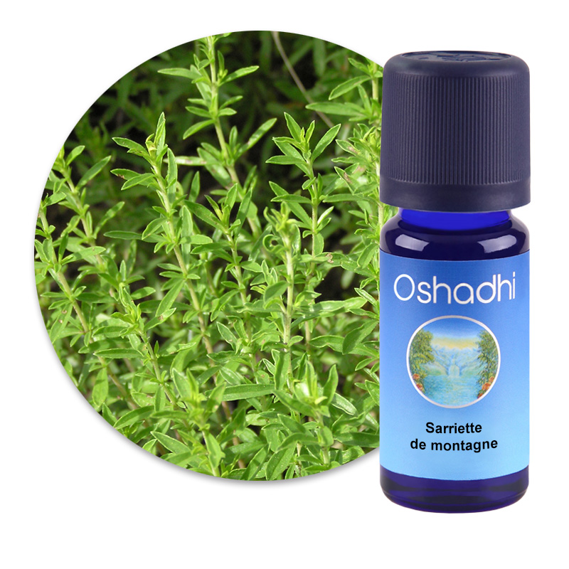Sarriette de montagne [1180]
