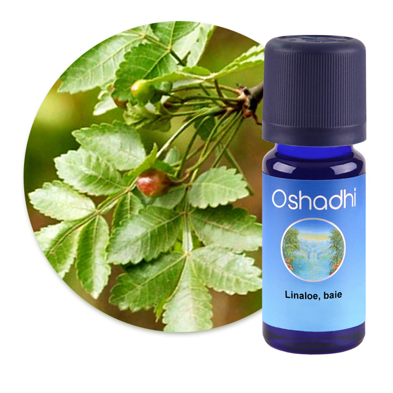 Linaloe, baie [1206]