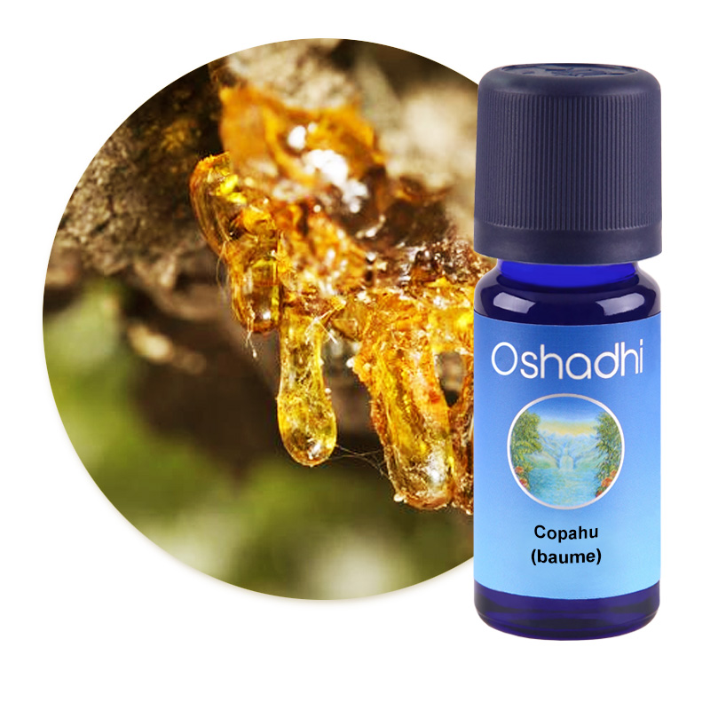 Copahu (baume) [1280]