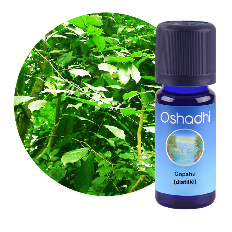 Copahu (distillé) [1281]