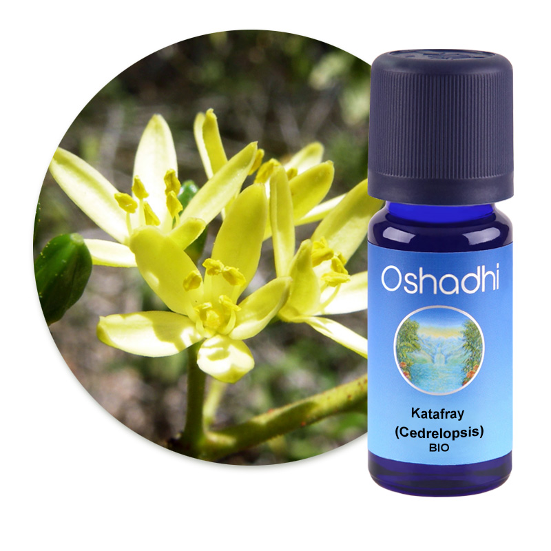 Katafray (Cedrelopsis) [1758]