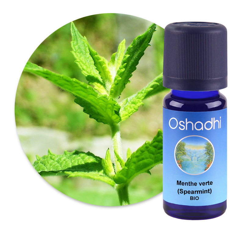 Menthe verte (Spearmint) [2110]