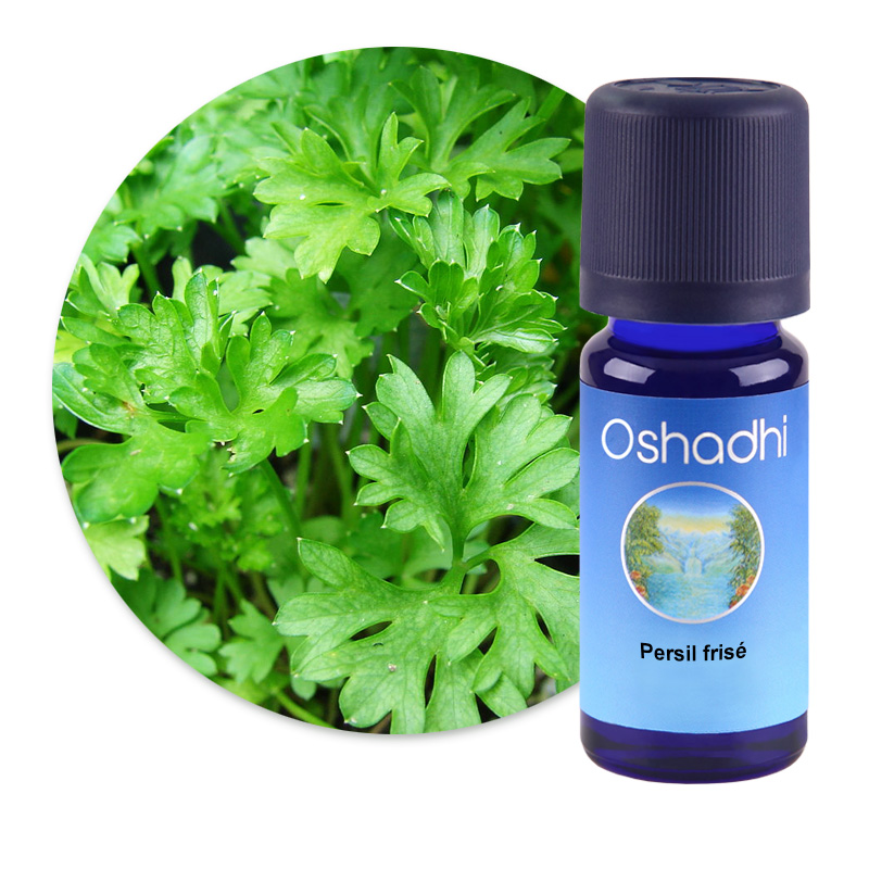 Persil frisé [2422]