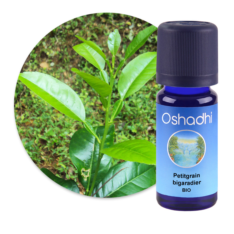 Petitgrain bigaradier BIO [2450]
