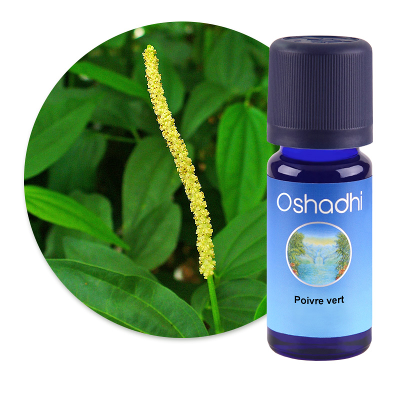 Poivre vert [2485]