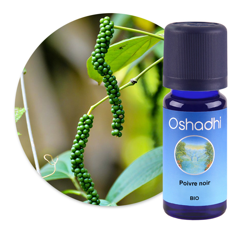 Poivre noir [2500]