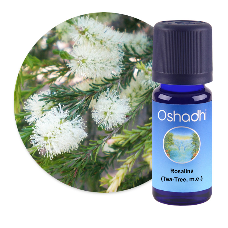 Rosalina (Tea-Tree, m.e.) [2783]
