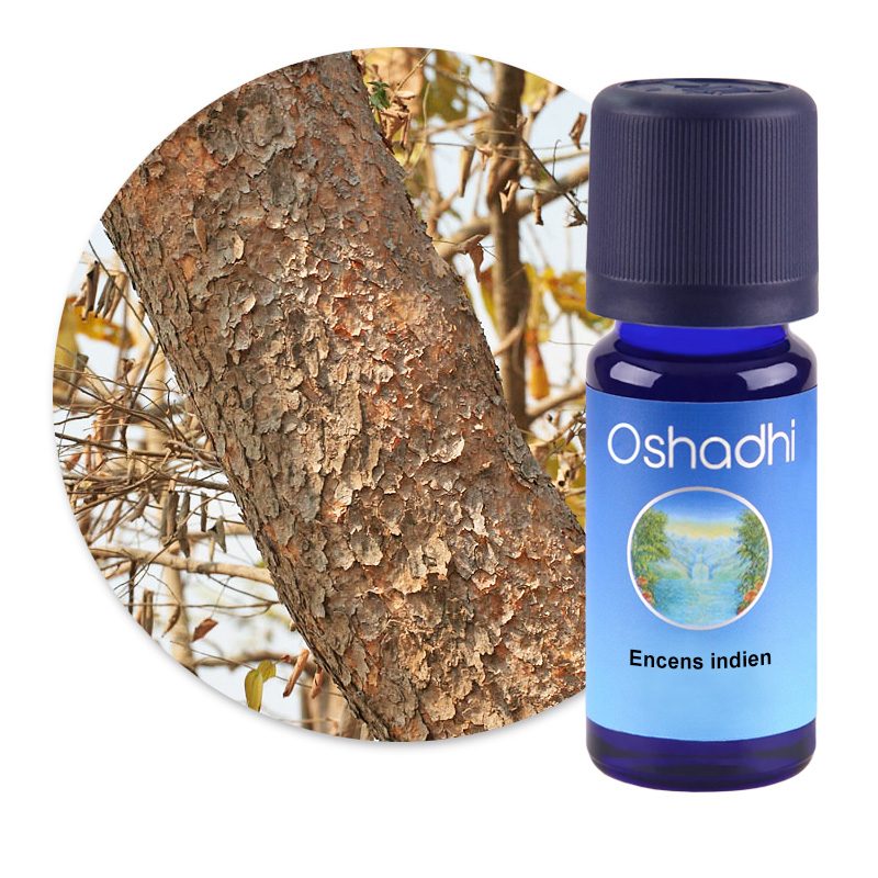 Encens indien [3012]