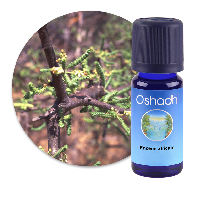 Encens africain [3014]