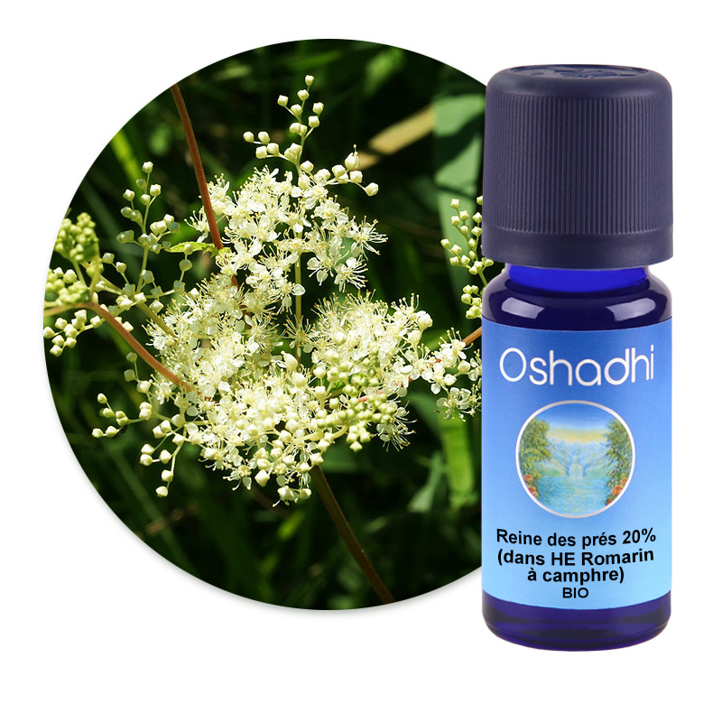 Reine des prés 20% (dans HE Romarin à camphre) [3020]