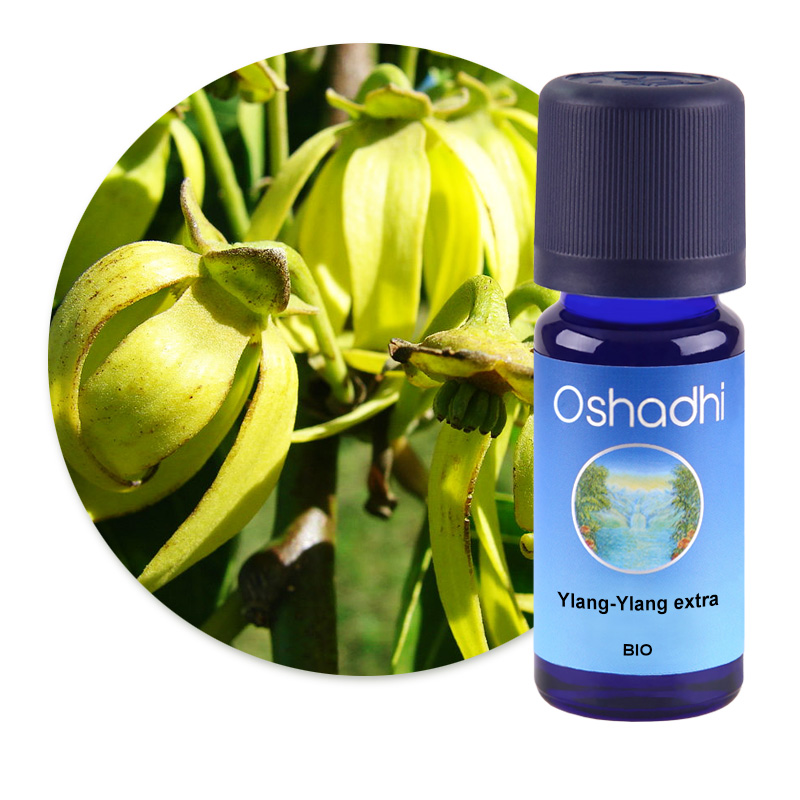 Ylang-Ylang extra [3041]