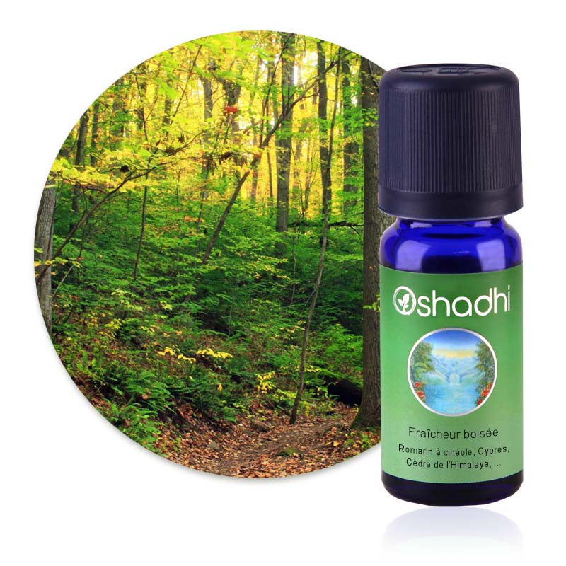 Fraîcheur boisée [4030]