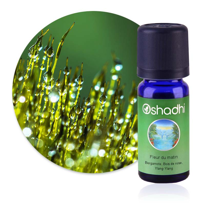 Fleur du matin [4085]