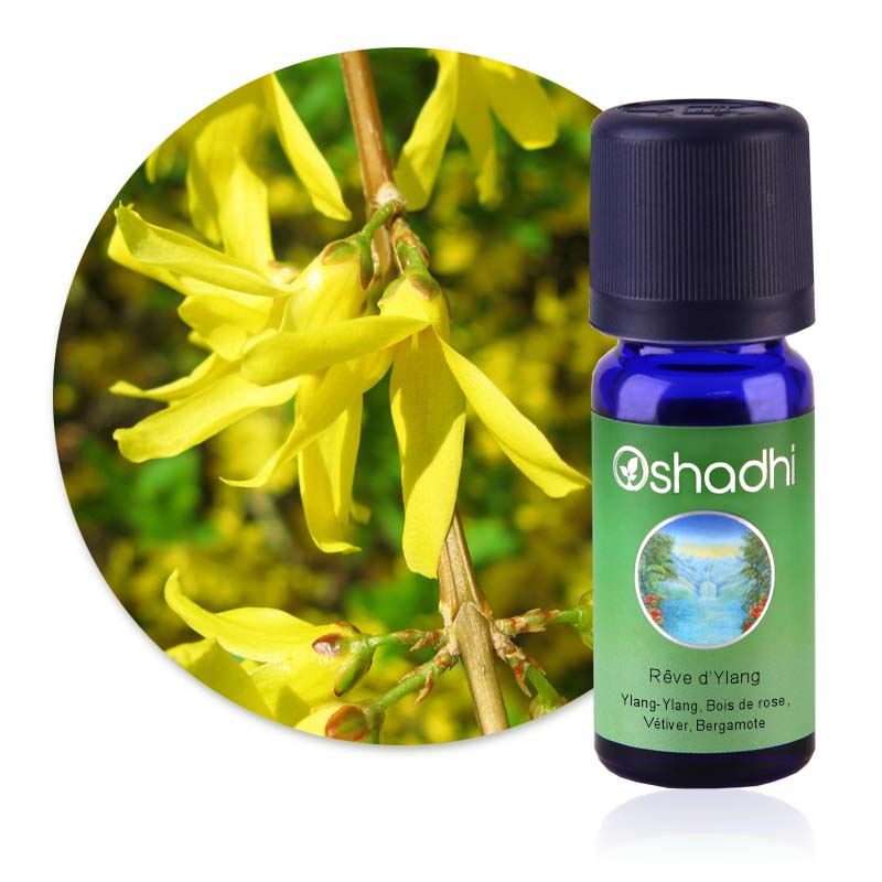 Rêve d'Ylang [4091]