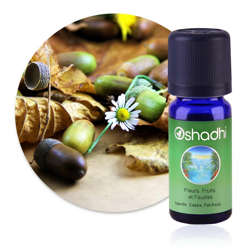 Fleurs, Fruits et Feuilles [4094]