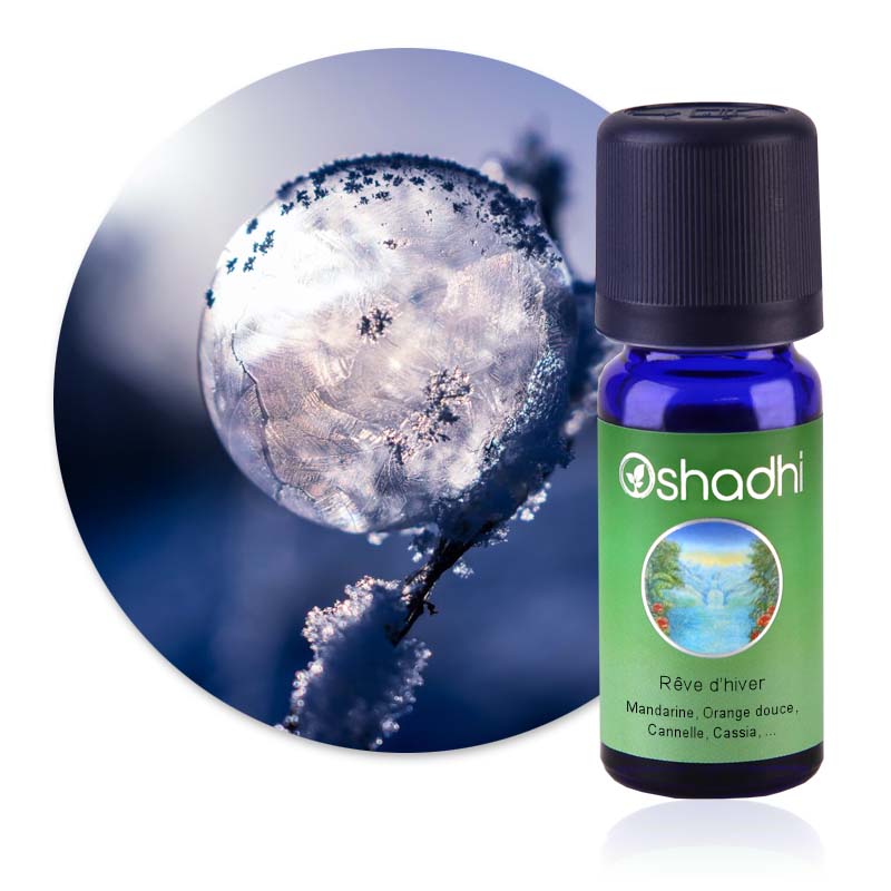 Rêve d'hiver [4245]