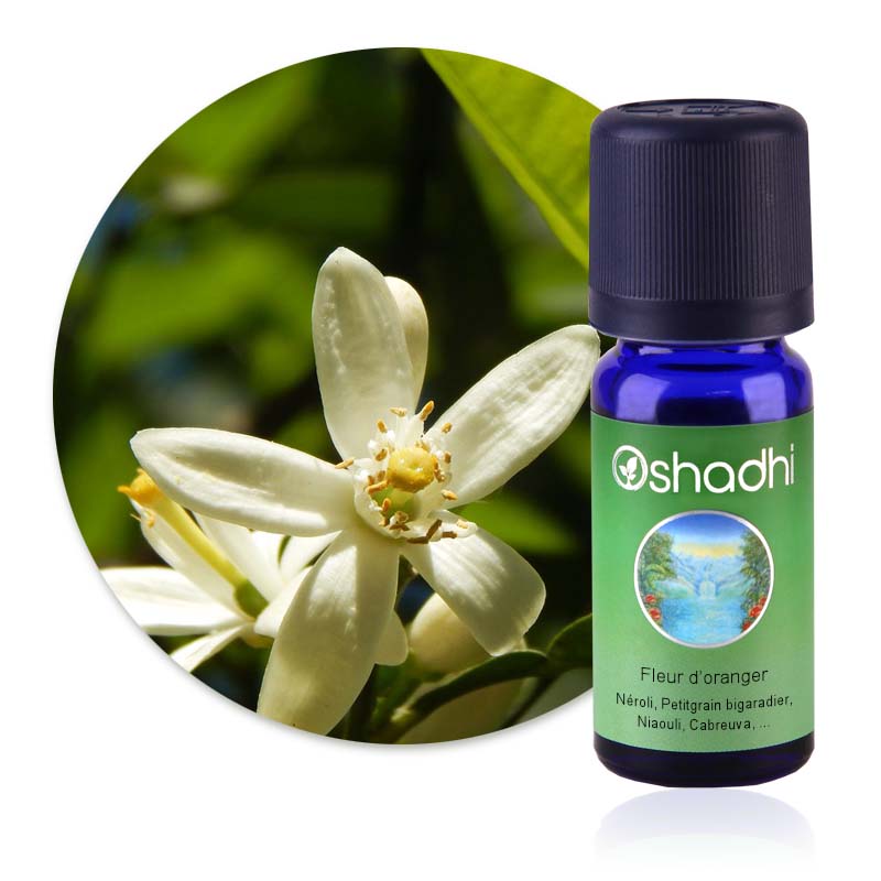 Fleur d'oranger [4645]