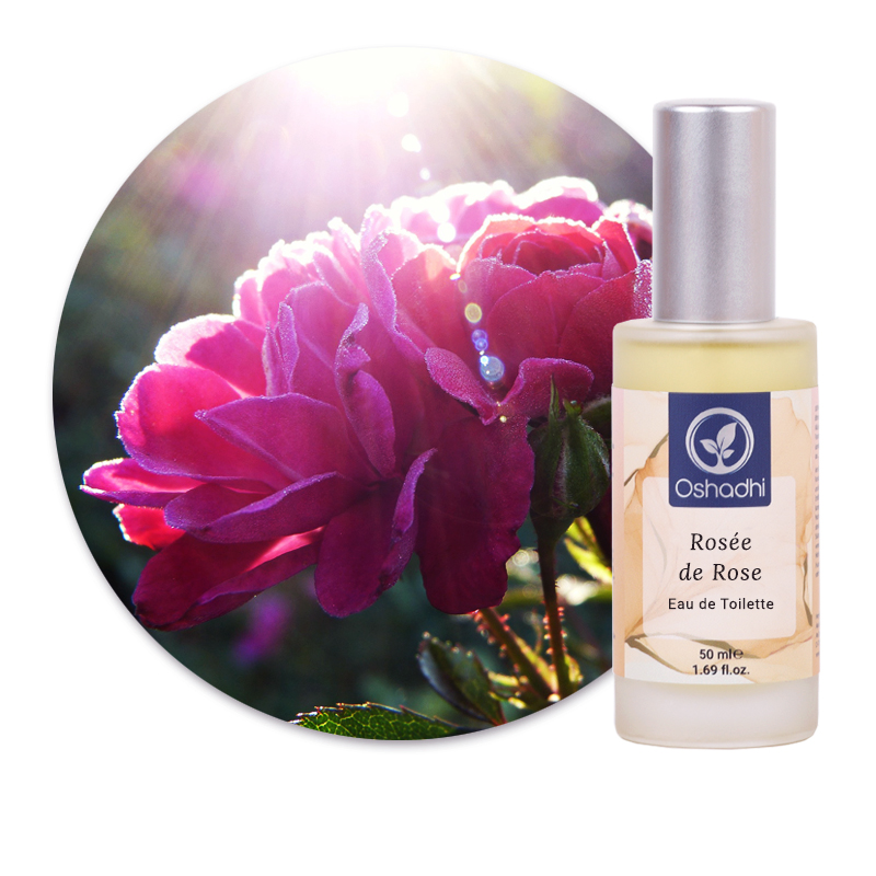 Rosée de Rose [5155]