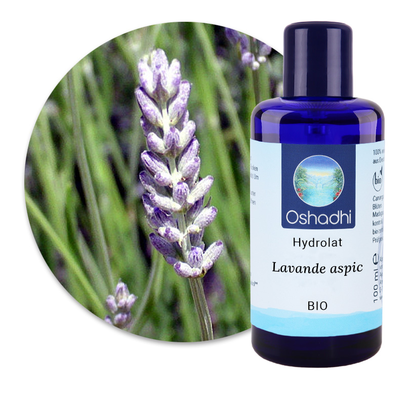 Lavande aspic [5221]