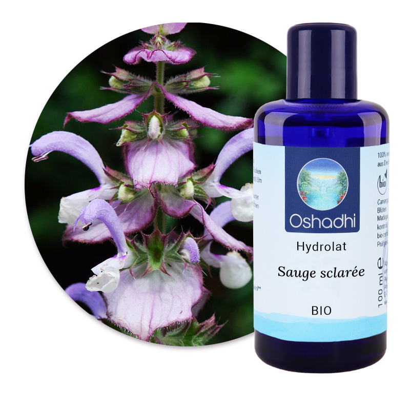 Sauge sclarée [5239]
