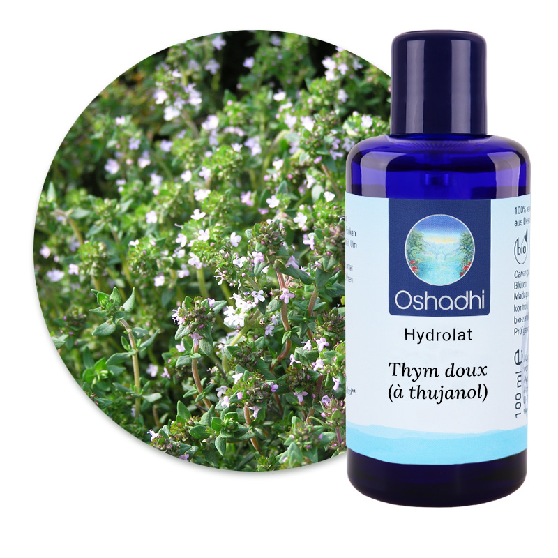 Thym doux (à thujanol) [5252]