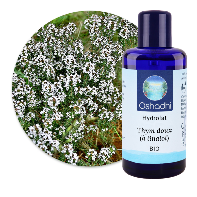 Thym doux (à linalol) [5255]